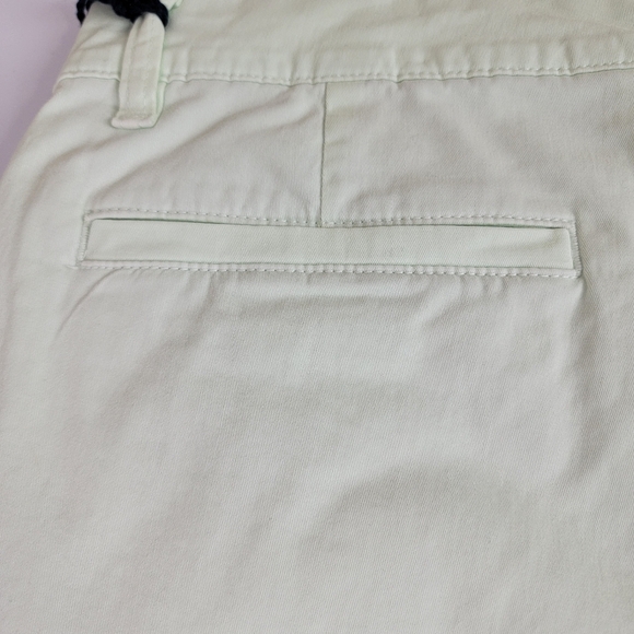 Chubbies The Sea Foams Green 5.5" Flat Front Stretch Twill Shorts Sz 34 NEW - Picture 8 of 14
